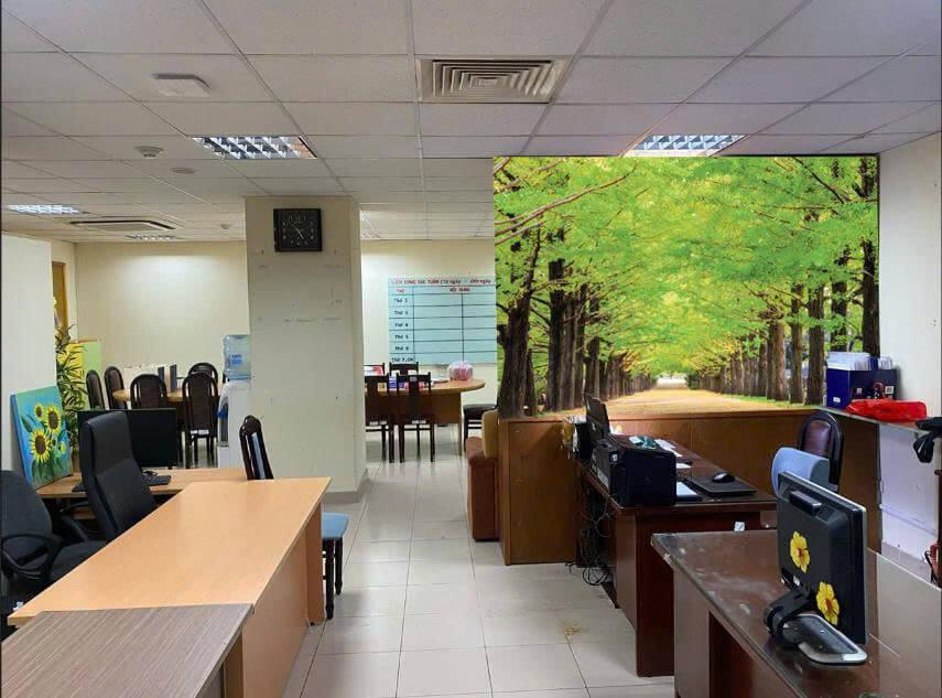 thi công giấy dán tường cho văn phòng công ty ở Quận 7