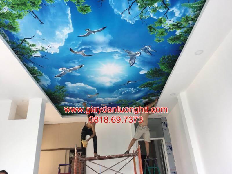 Thợ đang thi công tranh dán tường trần nhà