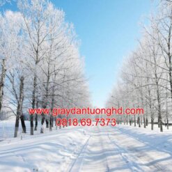 Tranh dán tường phong cảnh mùa đông tuyết rơi