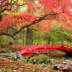 Tranh dán tường phong cảnh mùa thu chiếc cầu lá đỏ