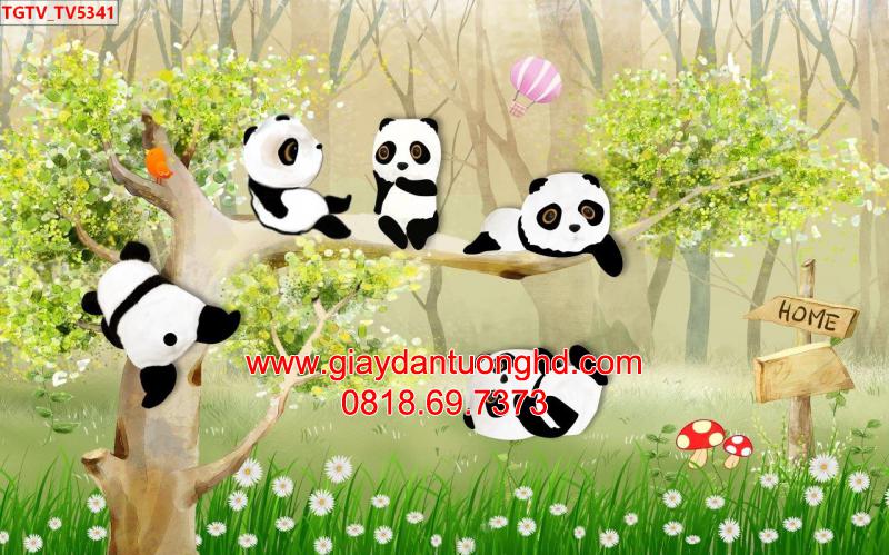 Tranh dán tường trẻ em gấu Panda, giấy dán tường panda cho bé trai
