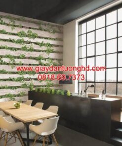 Giấy dán tường giả gỗ phòng ăn bếp z48506