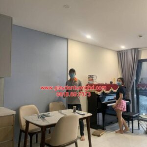 giấy dán tường màu trơn