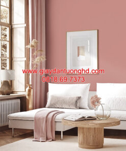 Giấy dán tường trơn phòng khách màu hồng đậm 3009-33