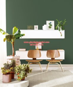 Giấy dán tường trơn phòng khách màu xanh rêu nhạt 3009-26