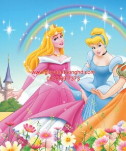 Tranh dán tường công chúa-WG_27