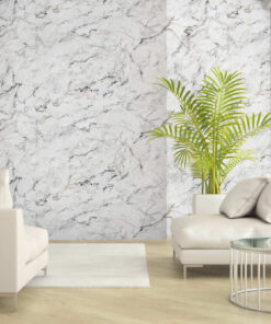 Giấy dán tường phòng khách hoa văn 56142-2