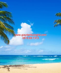 Tranh dán tường cảnh biển-SEA0338