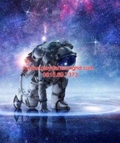 Tranh dán tường phi hành gia-FT5764